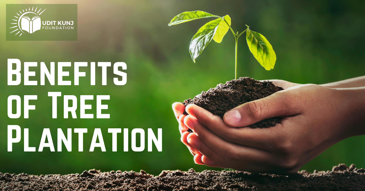 Tree Planting Benefits