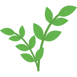 Leader Board Logo